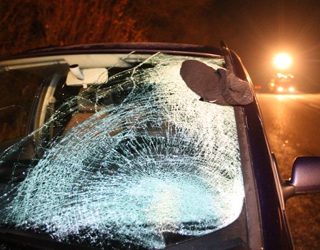 Property Insurance - Broken Windshield